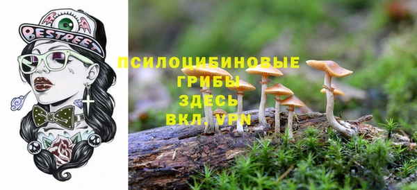 дурь Абаза
