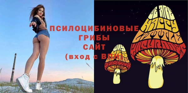 герыч Алзамай