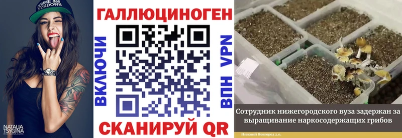 Галлюциногенные грибы мицелий маркетплейс телеграм Нелидово
